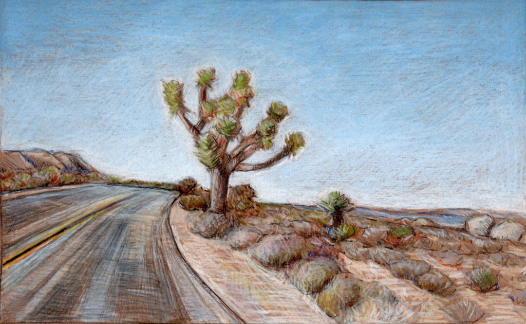 Joshua Tree Road