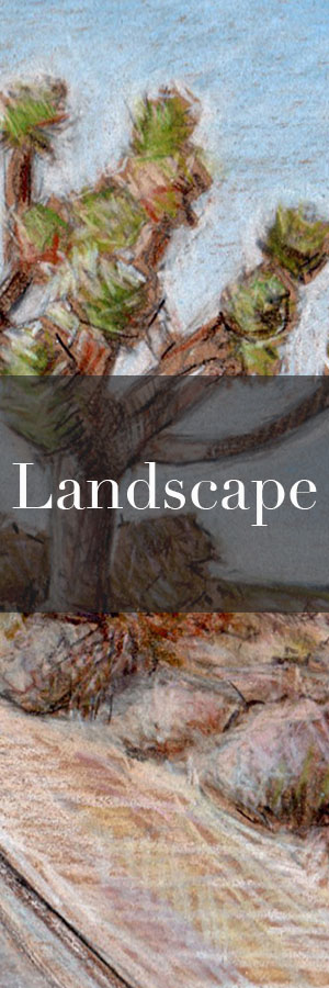 Landscape category image.