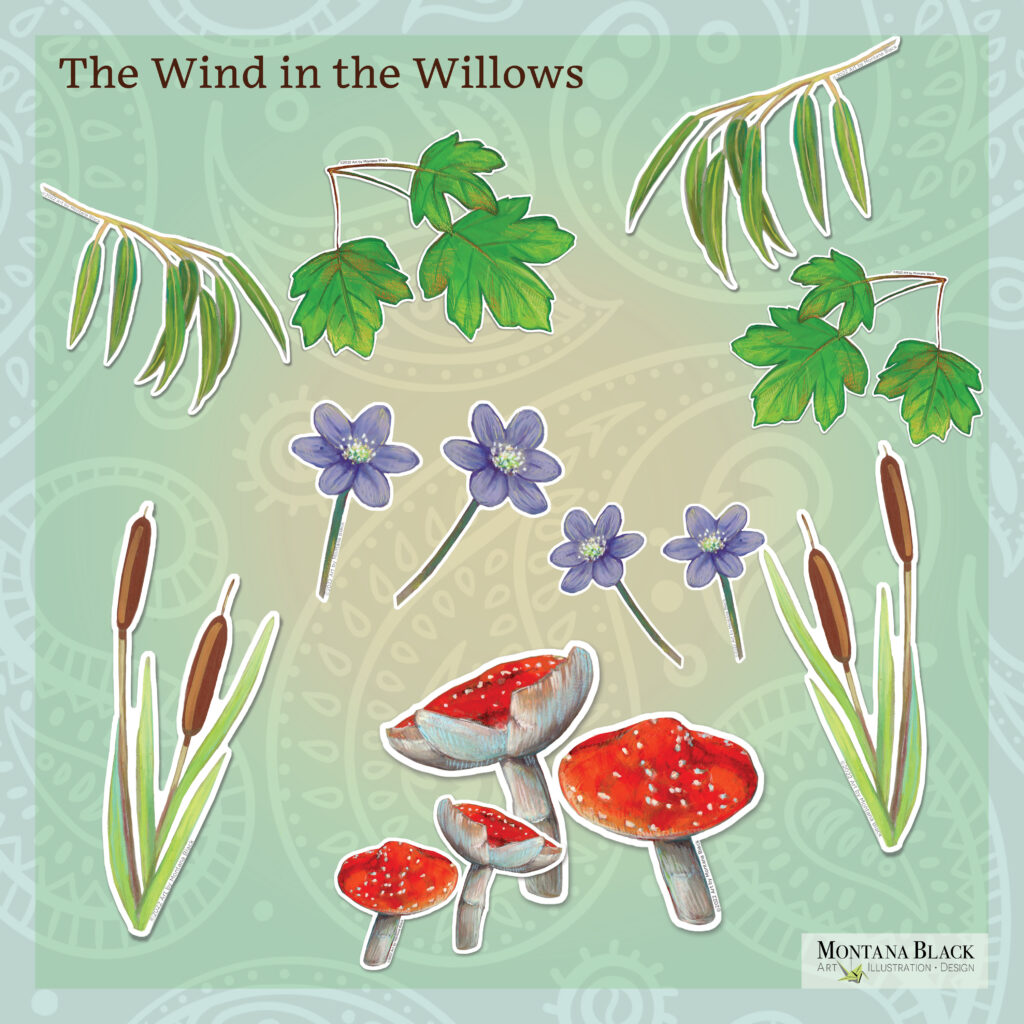 Wind in the Willows elements illustrations. Mushrooms, cat-tails, willow leaves, maple leaves and purple flowers.